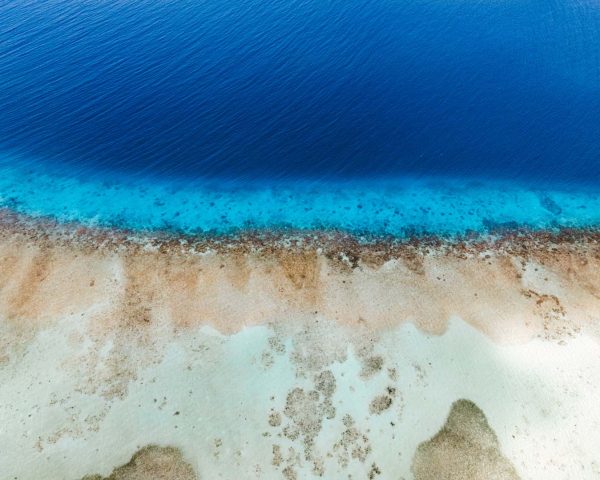 Blue Rainbown