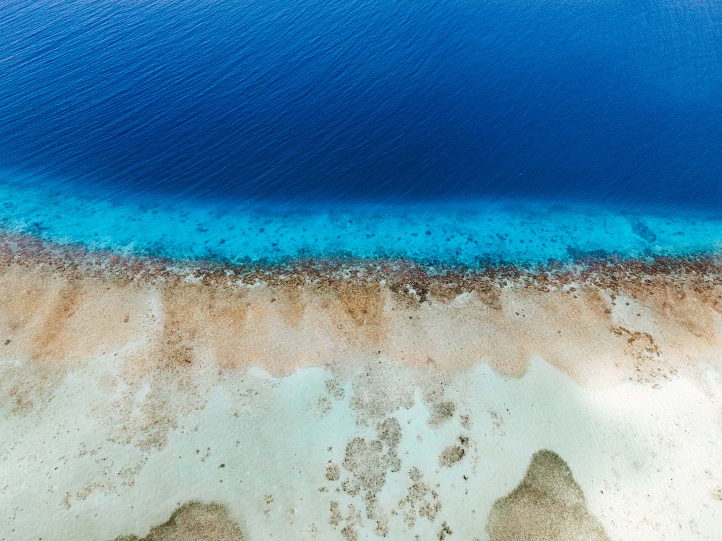 Blue Rainbown