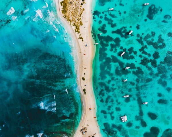 La linea del bikini