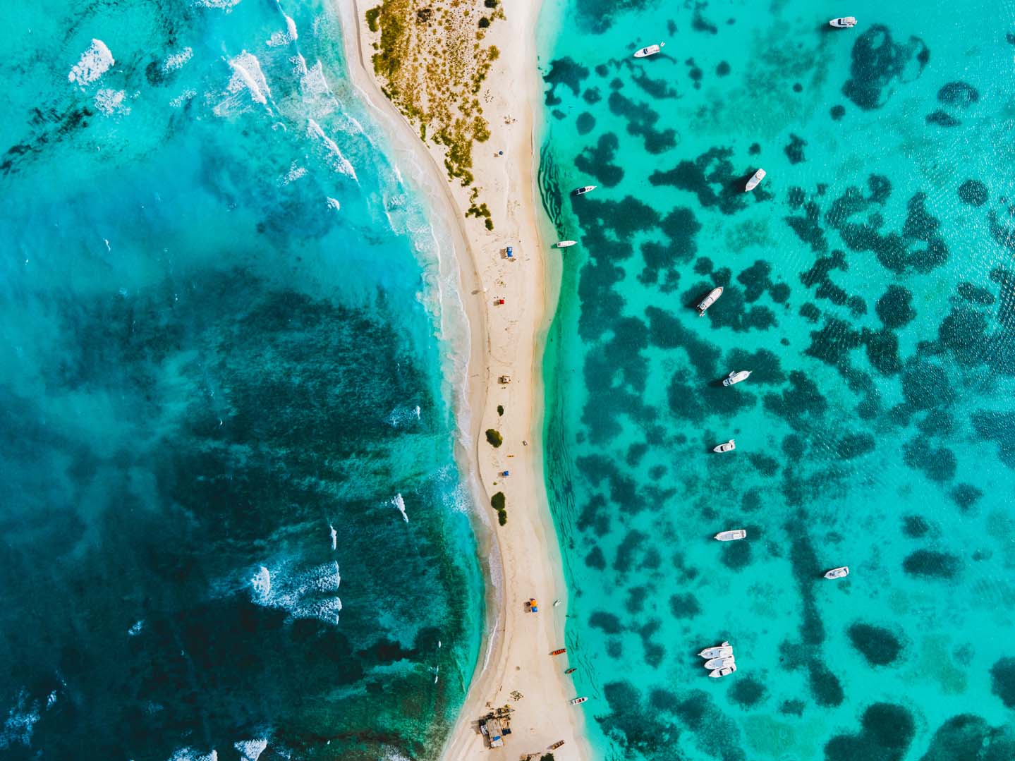 La linea del bikini