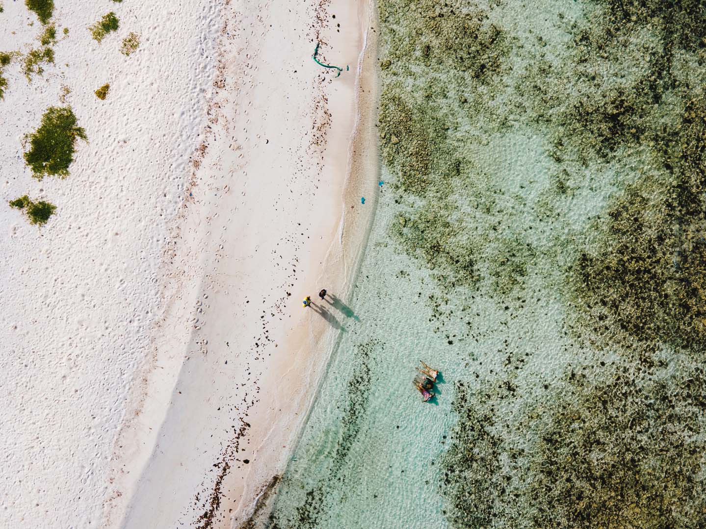 Playa estrellada