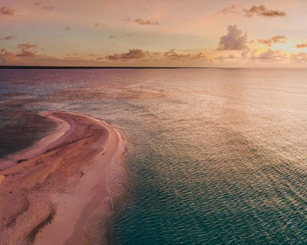 Punta juguete de Díos