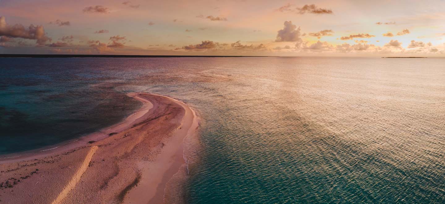 Punta juguete de Díos
