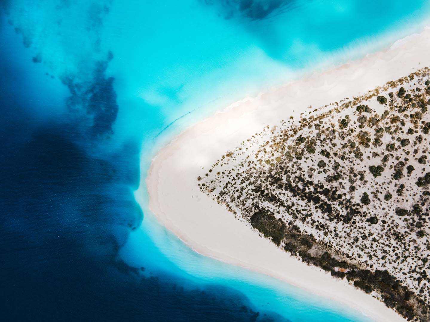 Punta Arenas